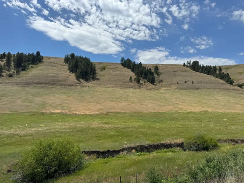 Crow Creek Ranch – 353 Acres
