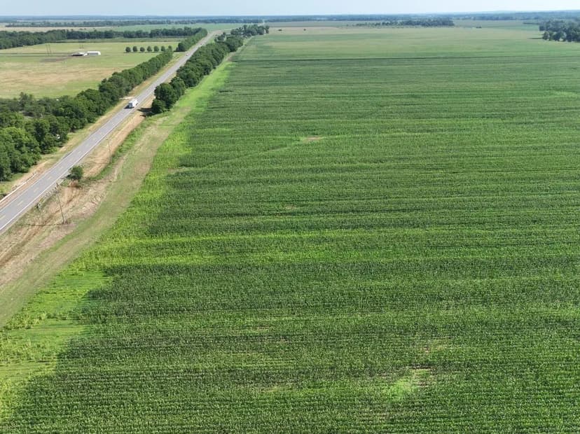 Dixie Ag Property, Caddo Parish, LA, 89.28 +/- acres