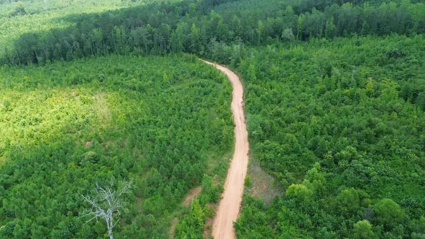 Fayette 11 Hunting and Recreation