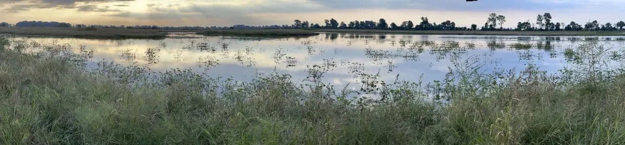 668+- Waterfowl club, New Madrid Missouri in Portageville, Missouri - photo 17