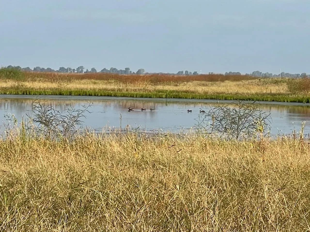 668+- Waterfowl club, New Madrid Missouri in Portageville, Missouri - photo 18