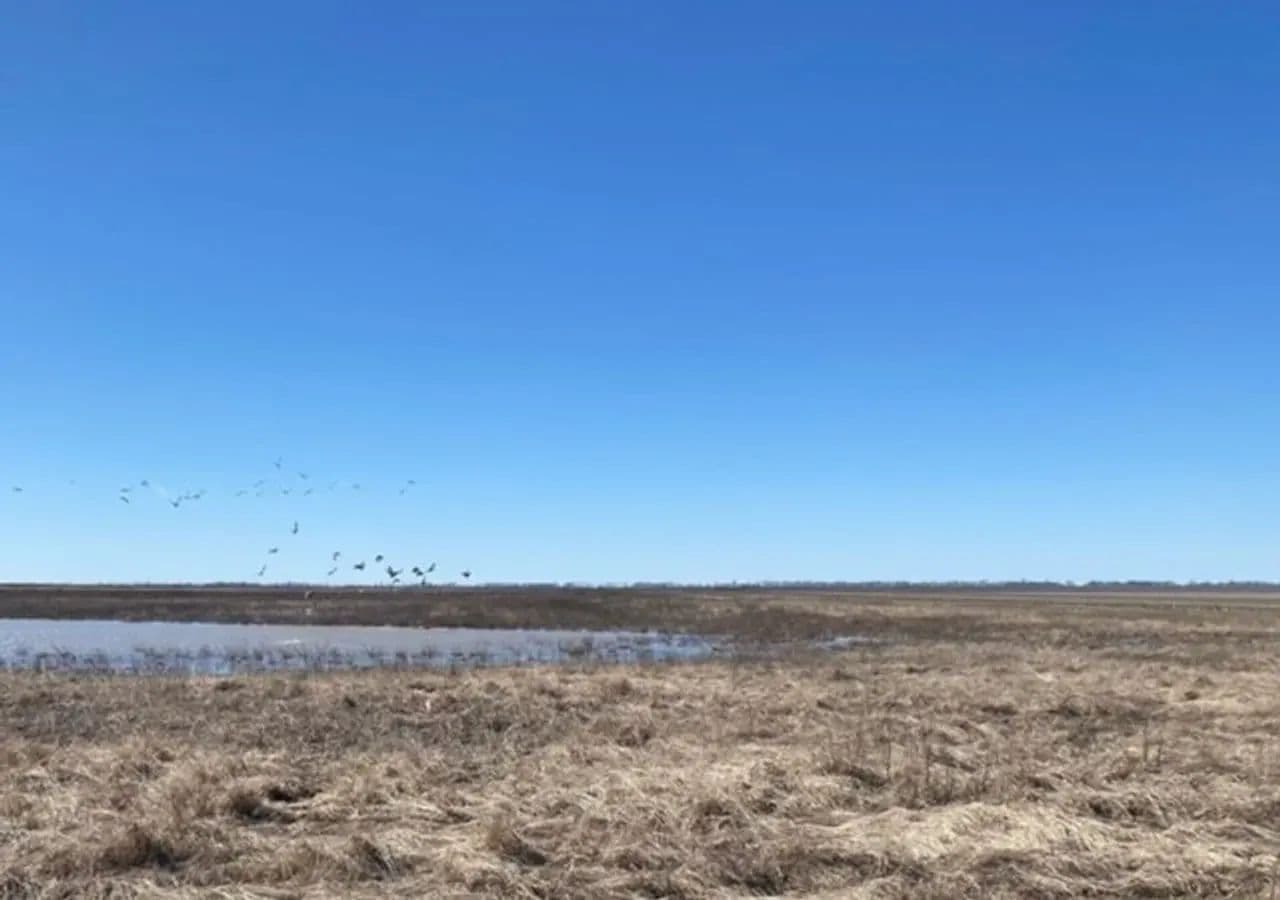 668+- Waterfowl club, New Madrid Missouri in Portageville, Missouri - photo 19