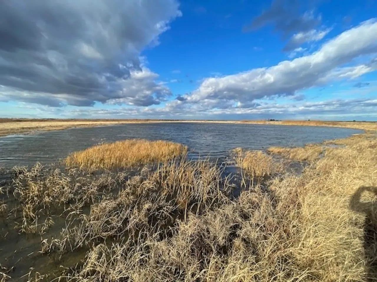668+- Waterfowl club, New Madrid Missouri in Portageville, Missouri - photo 51
