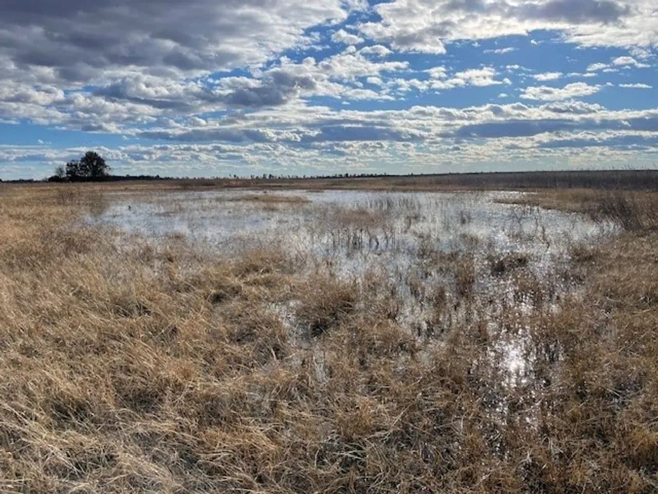668+- Waterfowl club, New Madrid Missouri in Portageville, Missouri - photo 13