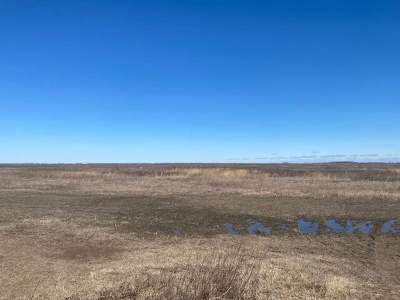 668+- Waterfowl club, New Madrid Missouri in Portageville, Missouri - photo 31