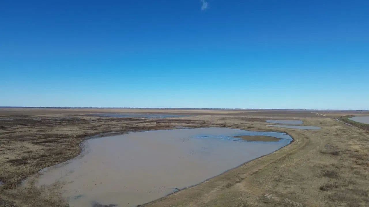 668+- Waterfowl club, New Madrid Missouri in Portageville, Missouri - photo 33