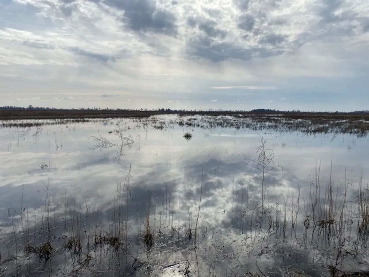 668+- Waterfowl club, New Madrid Missouri in Portageville, Missouri - photo 43