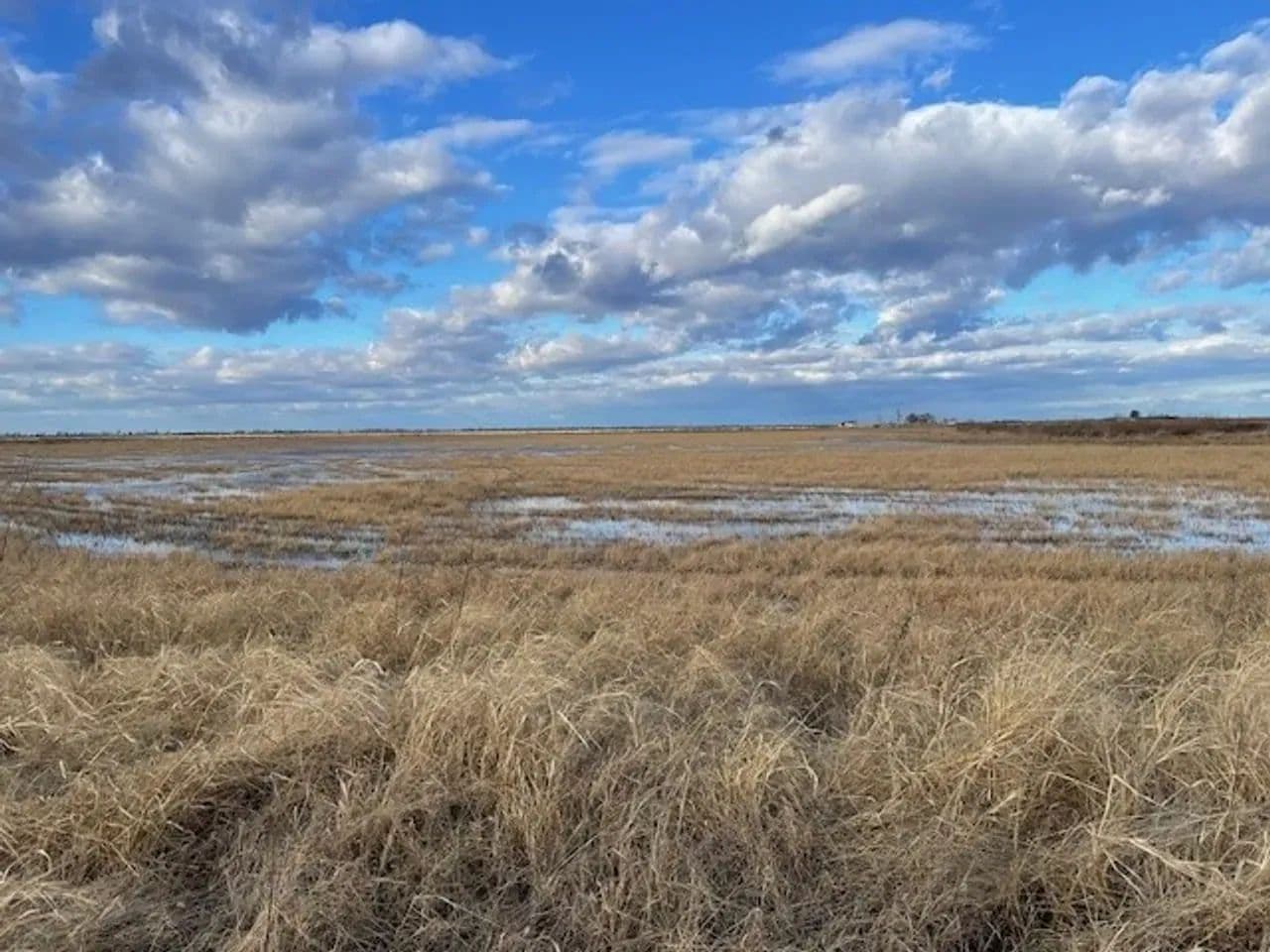 668+- Waterfowl club, New Madrid Missouri in Portageville, Missouri - photo 6