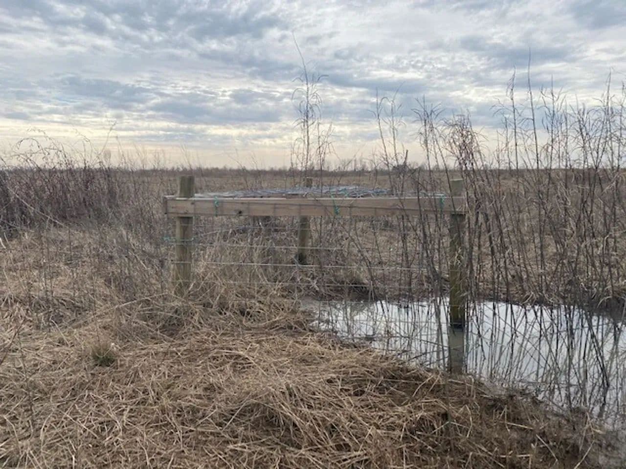 668+- Waterfowl club, New Madrid Missouri in Portageville, Missouri - photo 46