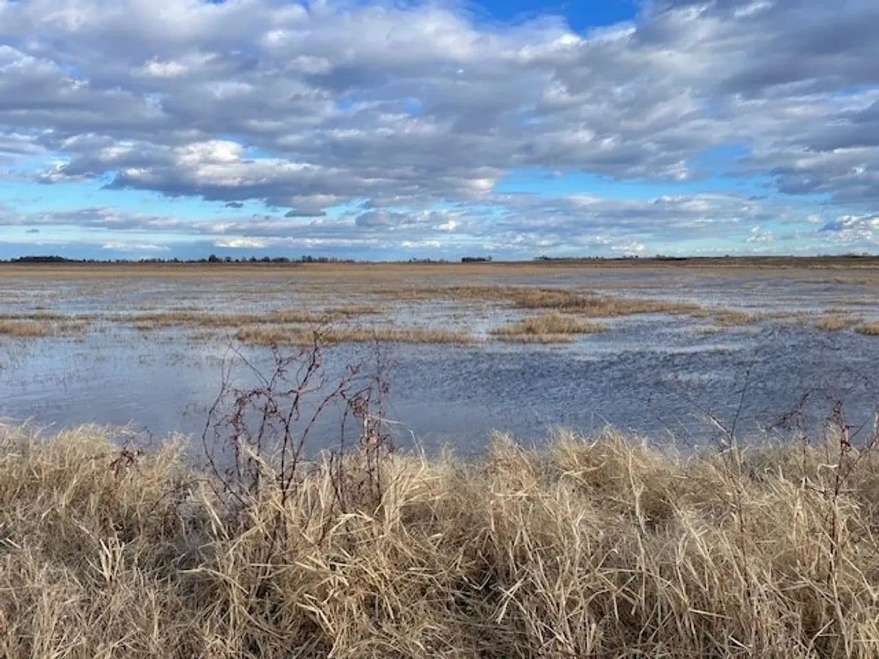 668+- Waterfowl club, New Madrid Missouri in Portageville, Missouri - photo 10