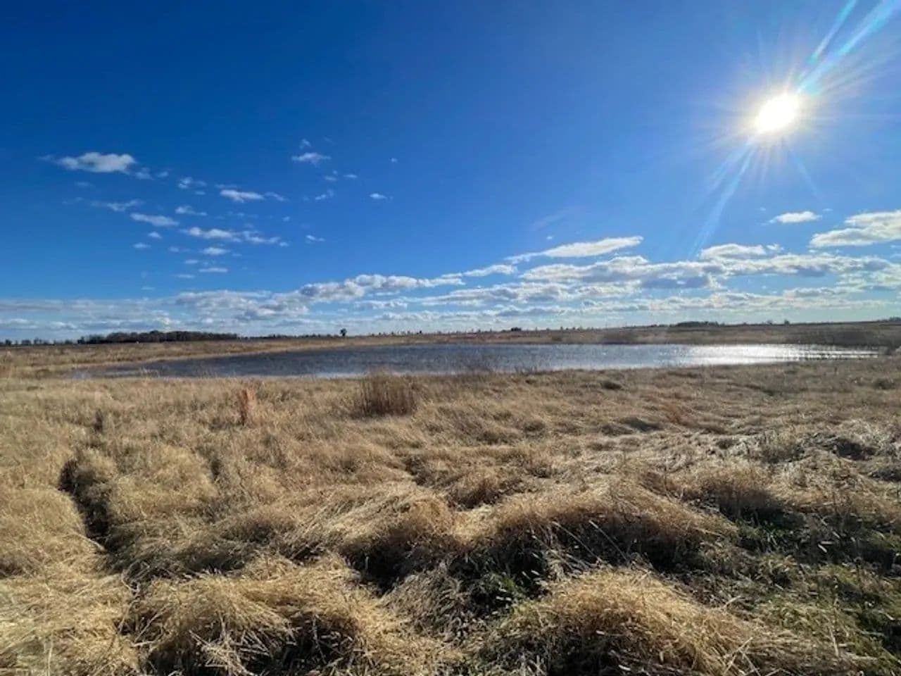668+- Waterfowl club, New Madrid Missouri - Portageville, Missouri, 63873