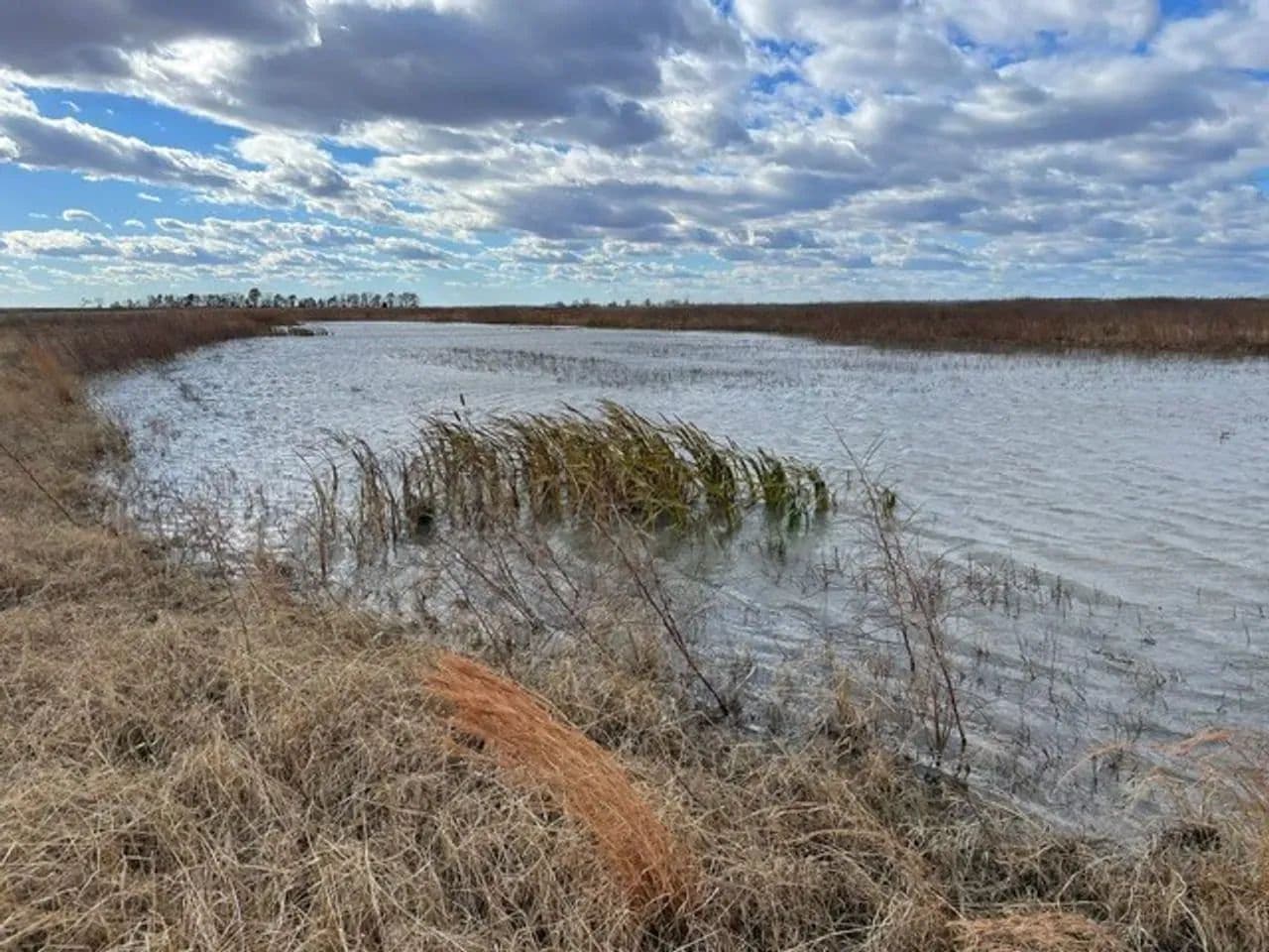 234.5+- acres WRP waterfowl property Southern MO in Portageville, Missouri - photo 39