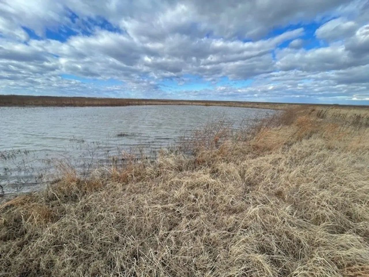 234.5+- acres WRP waterfowl property Southern MO in Portageville, Missouri - photo 13