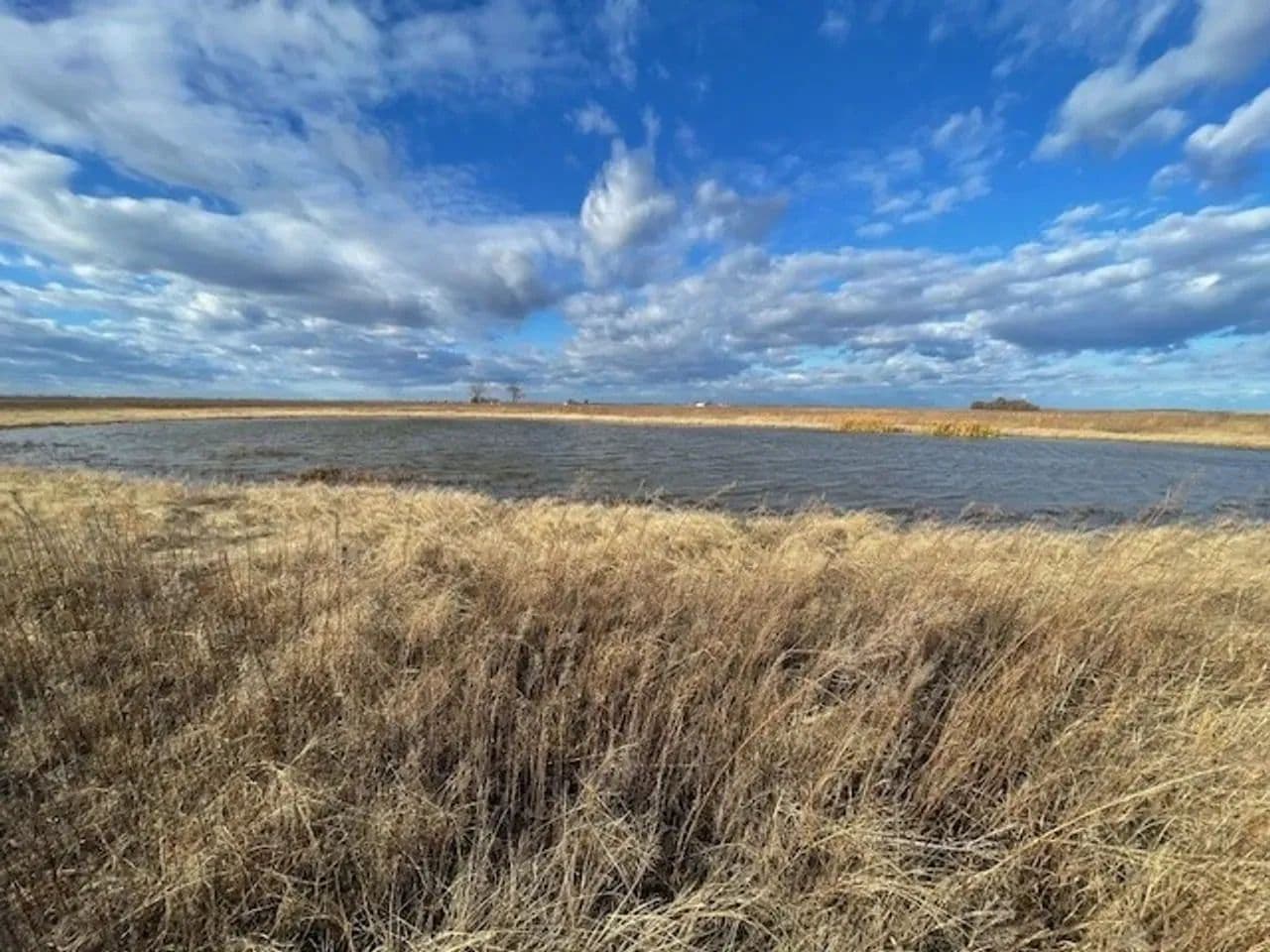234.5+- acres WRP waterfowl property Southern MO in Portageville, Missouri - photo 21