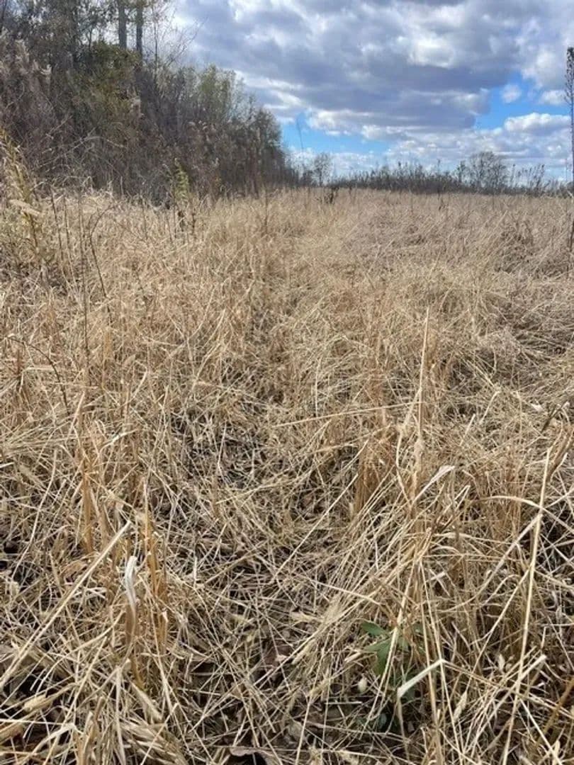 234.5+- acres WRP waterfowl property Southern MO in Portageville, Missouri - photo 8