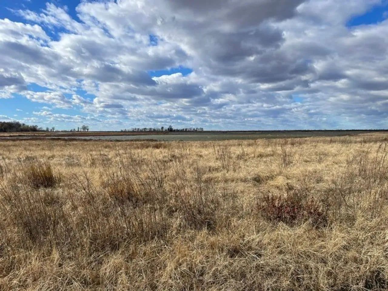 234.5+- acres WRP waterfowl property Southern MO in Portageville, Missouri - photo 3