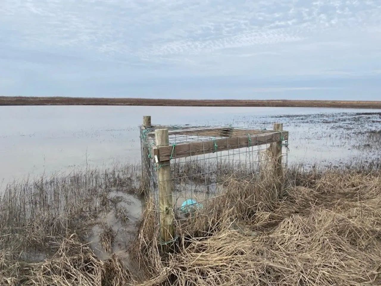 433+- acres Waterfowl property New Madrid County Missouri in Portageville, Missouri - photo 26