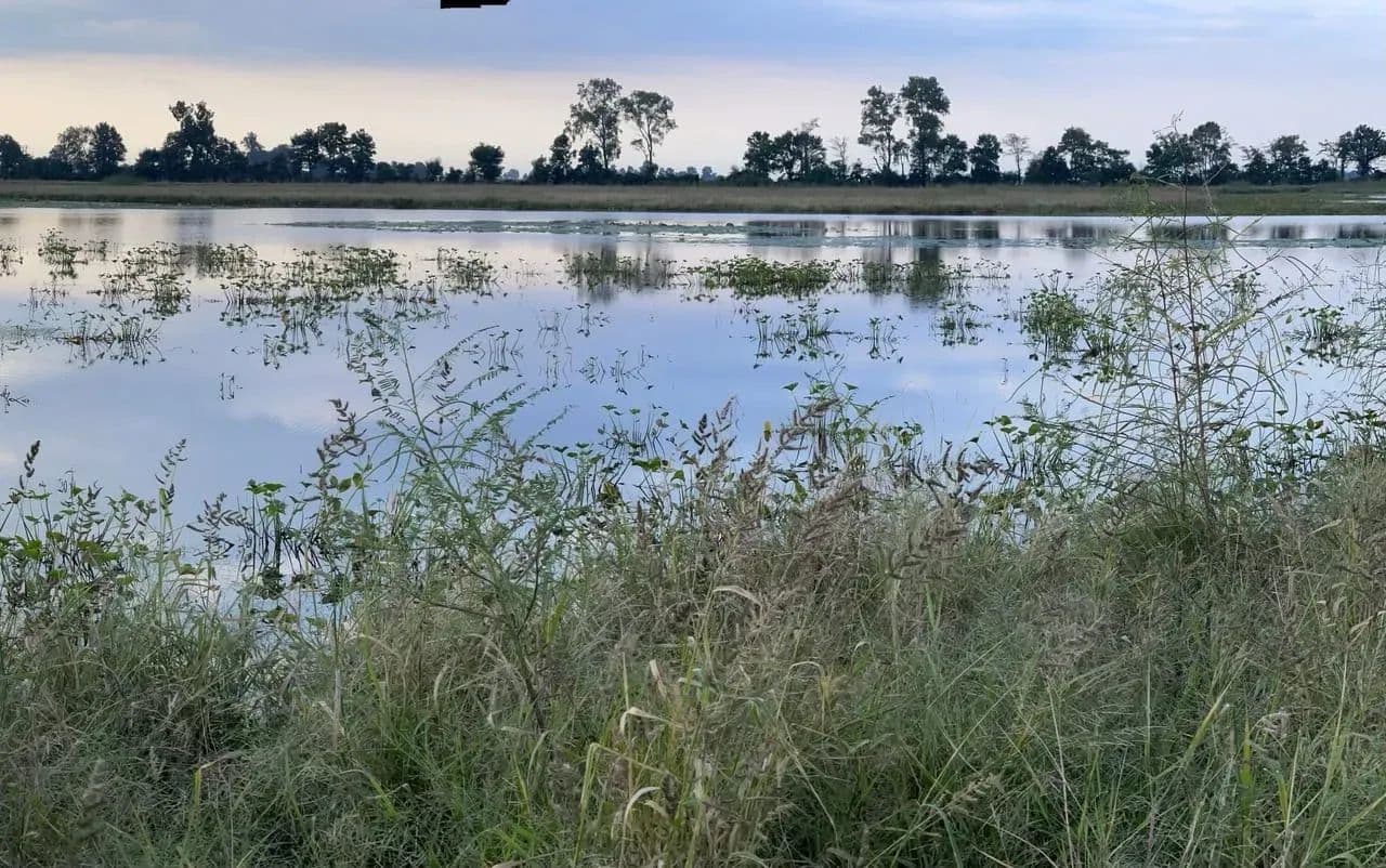 433+- acres Waterfowl property New Madrid County Missouri in Portageville, Missouri - photo 27