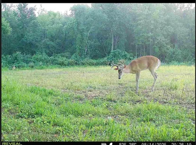 26 acres of pristine hunting ground