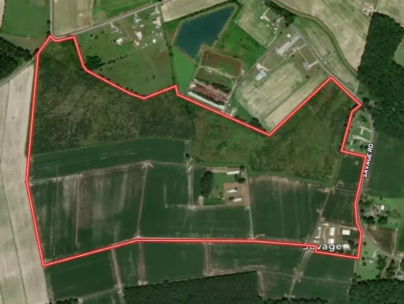 UNDER CONTRACT!!  151 Acres of Farmland and Timber Land For Sale in Gates County NC!