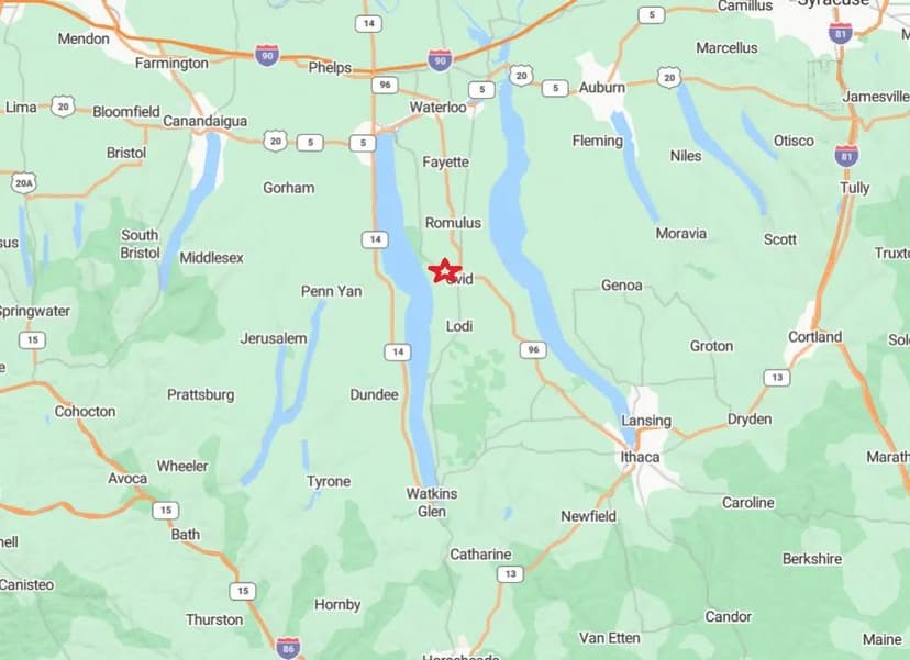 107 acres Farm Investment Property in Romulus NY near Seneca Lake on the Finger Lakes Wine Trail Route 96A