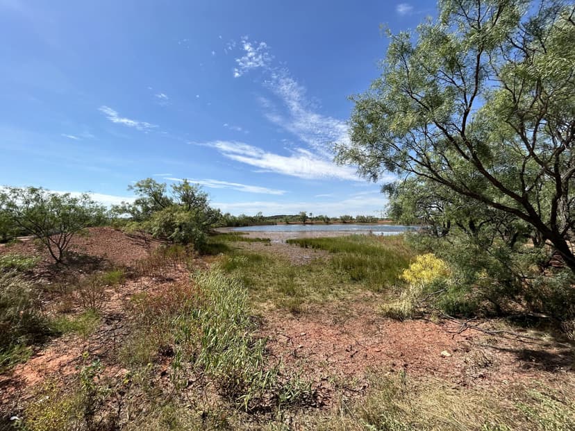 New Listing!!!10.20+- AC  TBD FM 1086, Taylor County  (72.06 AC Split)