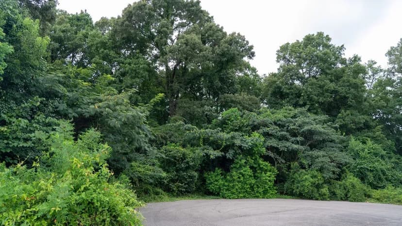 Beautiful 1.3 Acre Lot in Prattville