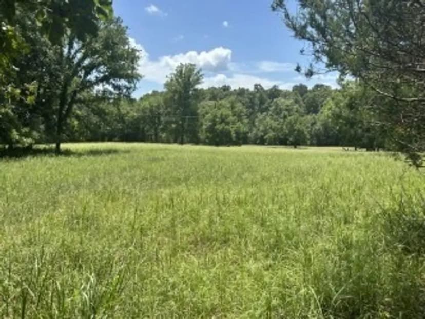 Ravenden Springs 297