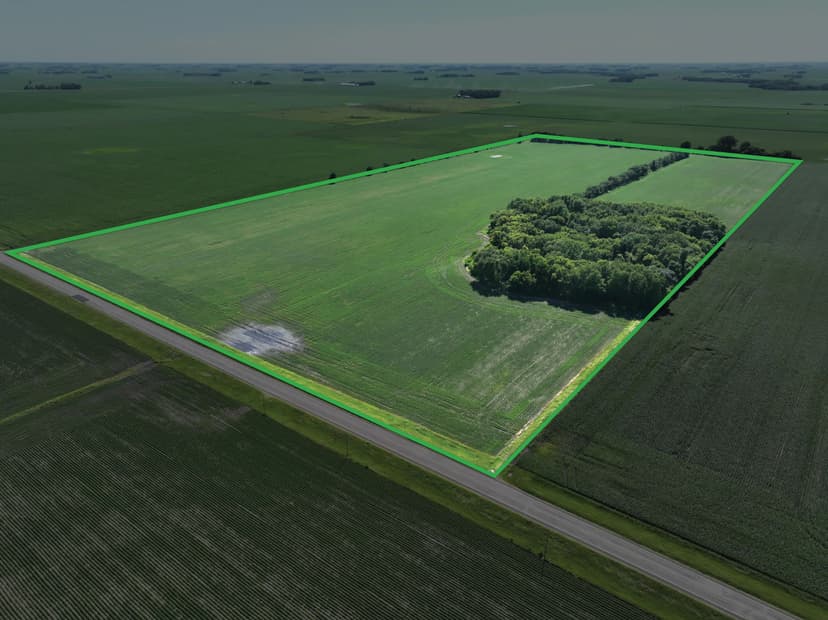187.39 ± Blue Earth County Farmland Auction - 2 parcels