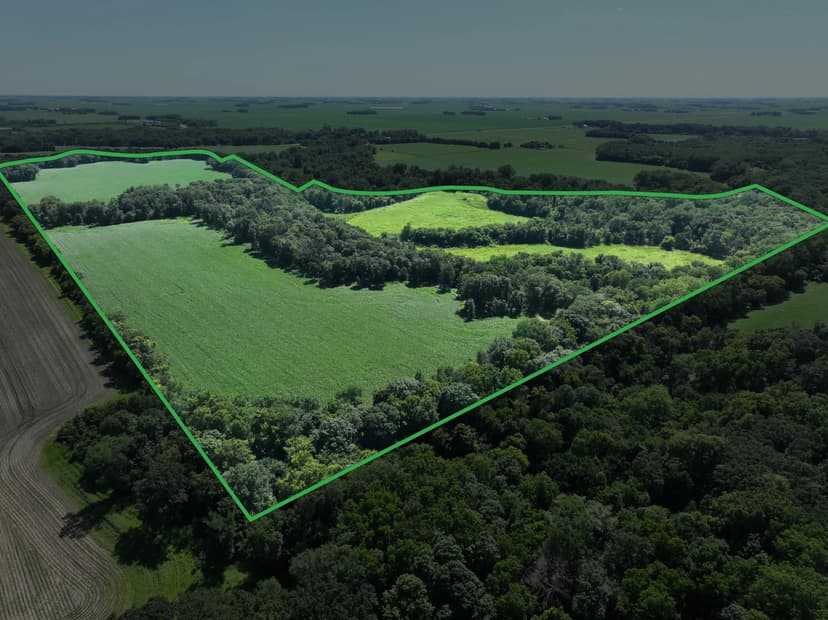 149.29± Acres of Income-Producing Farmland & Hunting Land – Blue Earth County, MN
