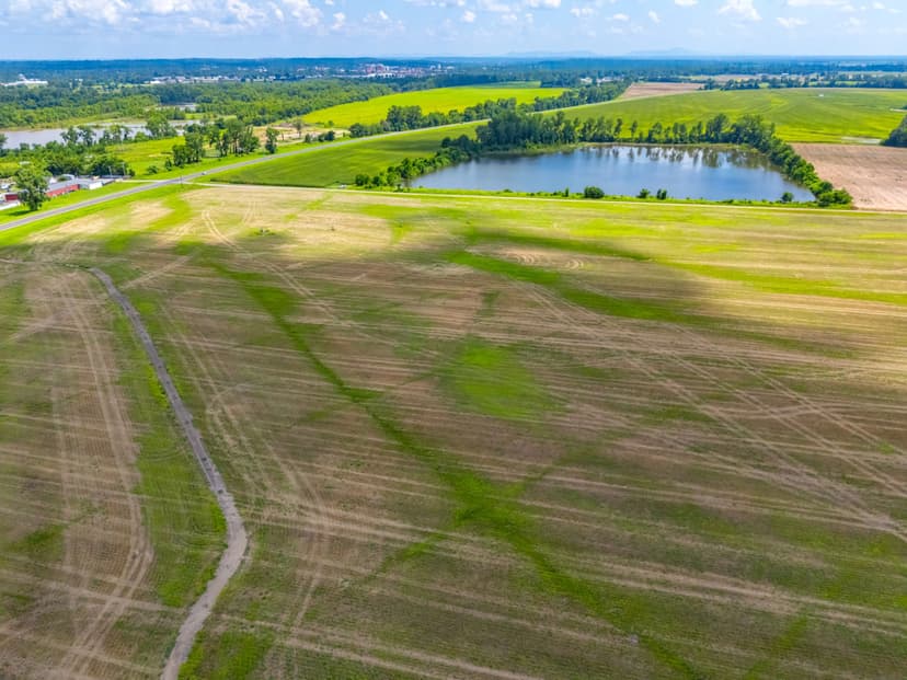 Hawkins Family Farms