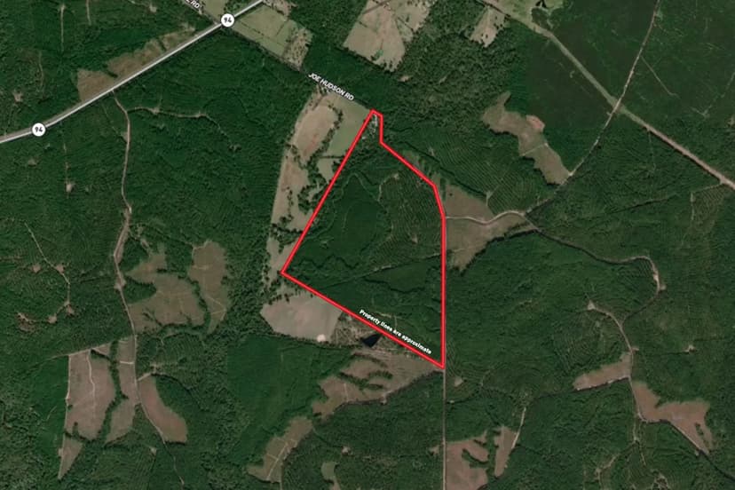 878 Joe Hudson Rd - 262 acres