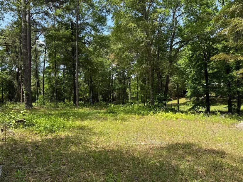 Unique Opportunity in Macon County on 2 Acres- Potential Camp Ground or Hunting Camp