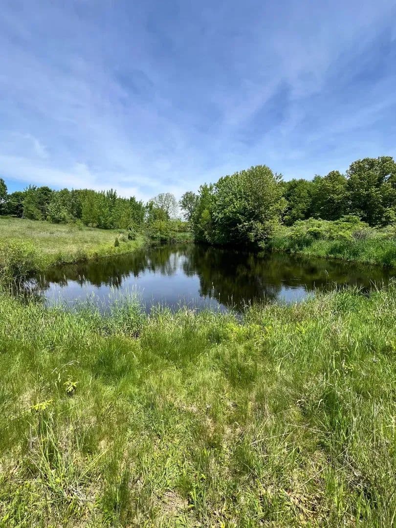 20 +/- Acres  w/ Home 1474 E. Dexter Trl, Dansville, MI 48819