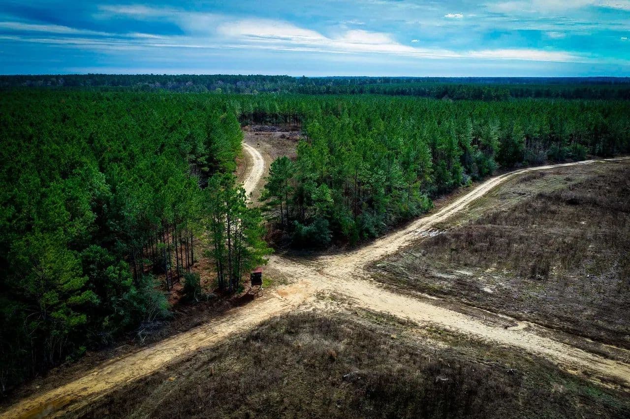 Polk County- 148+/- Acres - Livingston, Texas, 77371