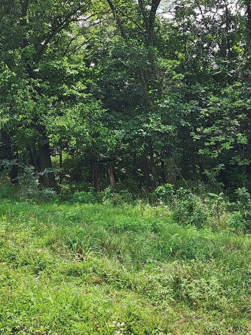 197ac Crop Production, Big Bucks, Amazing views,  Saline County