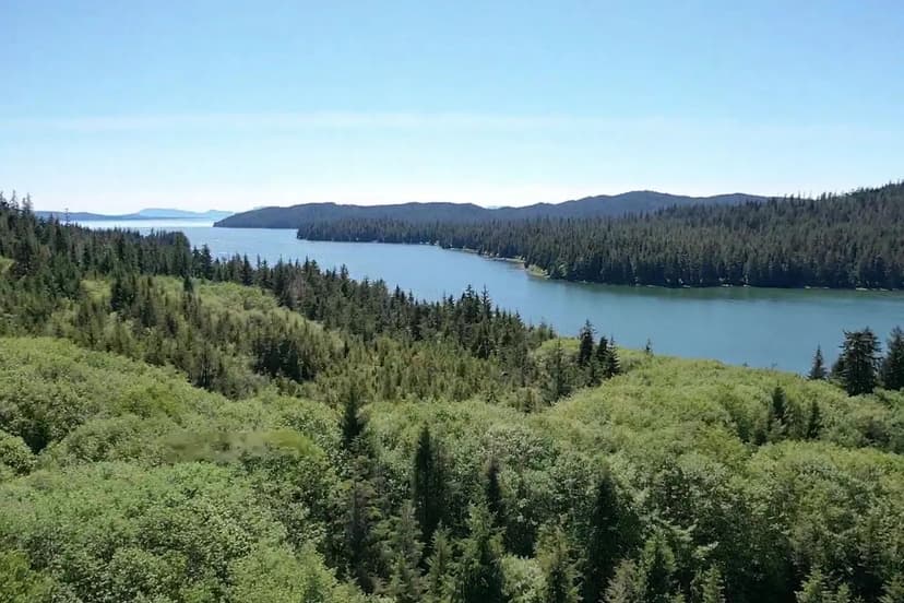 Wrangell Narrows Ocean Front