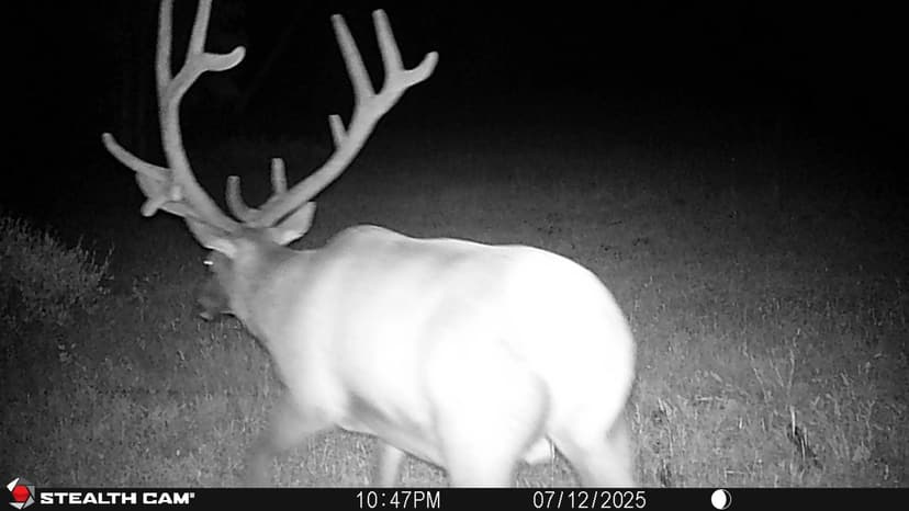 The Elk Pasture Ranch