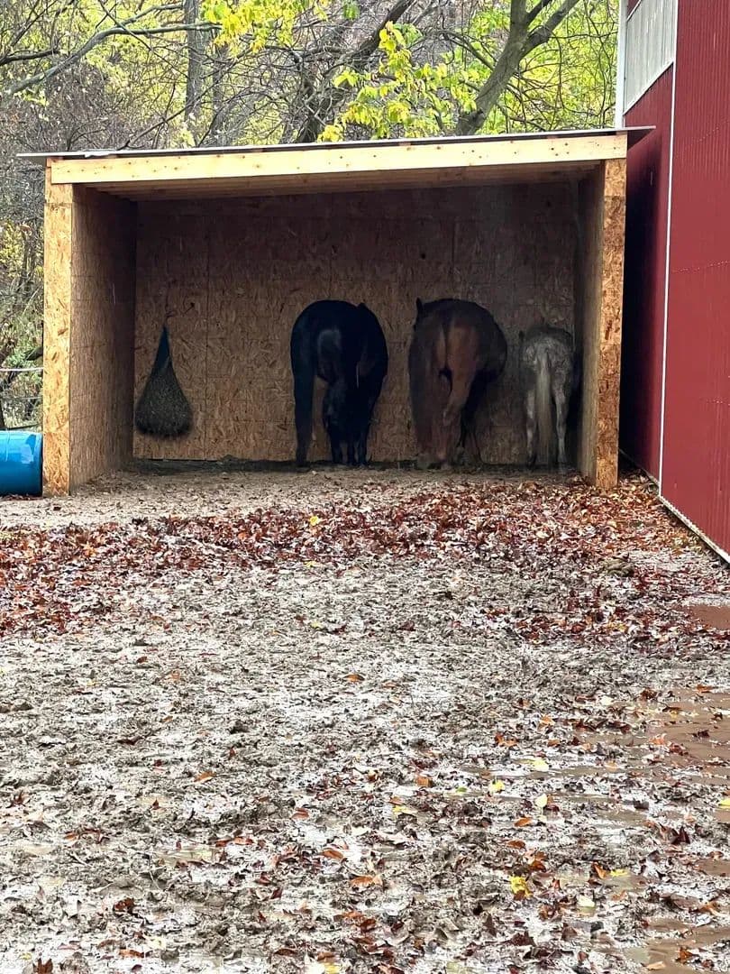 13226 County Line Rd Crown Point, IN 46307 / 2,736 sq ft 4 beds and 1 3/4 bath / Lake County