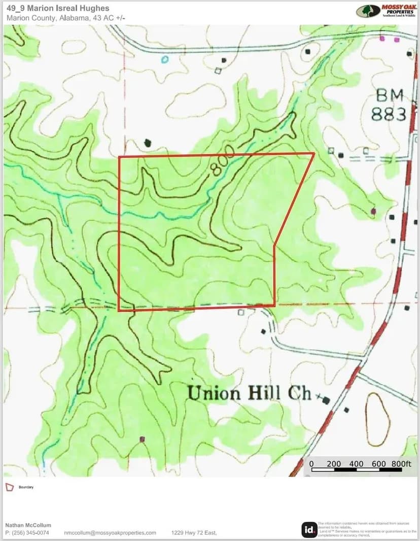 Marion County 49_9 43 Acre Hardwood Tract