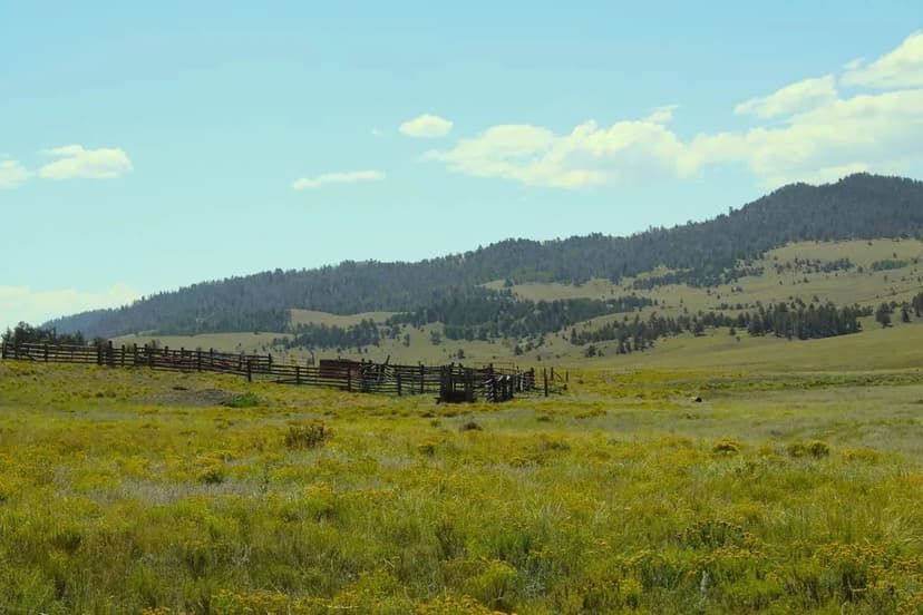 Current Creek Ranch East