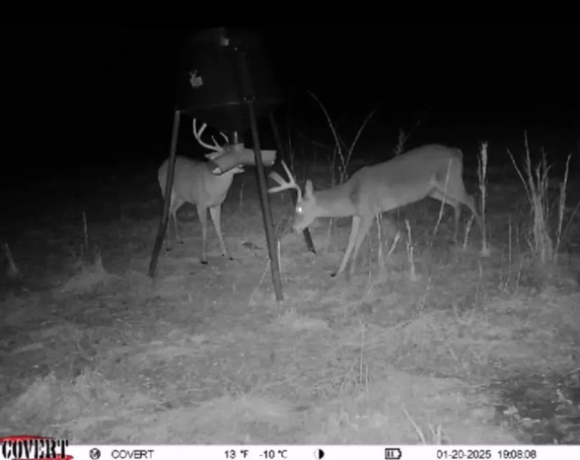 19.4 Ac. Lawrence County Homesite and Mini-Farm