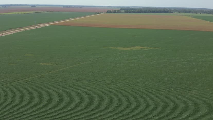 LA - West Carroll 63 acres +/-