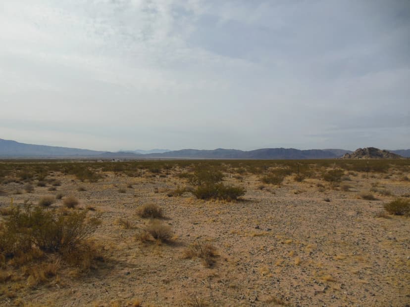 20 AC -Northside - Next to BLM Land!