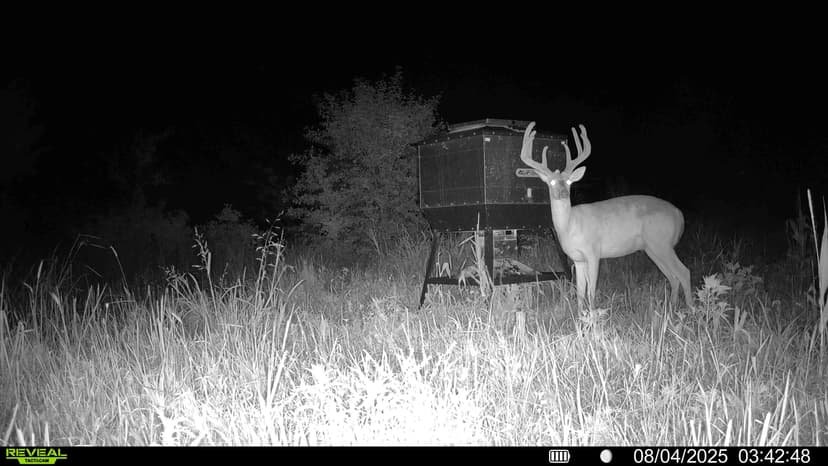 114+/- Acres of Prime Hunting & Investment Ground Along Mill Creek For Sale – Bourbon County