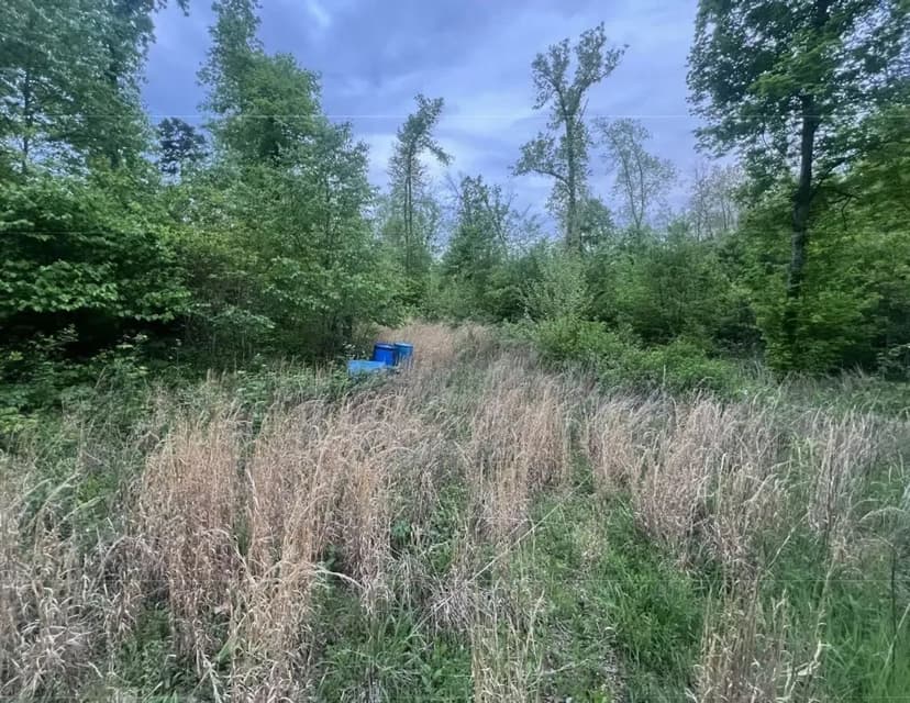 3.01+/- Acre Property For Sale in Iron Co.