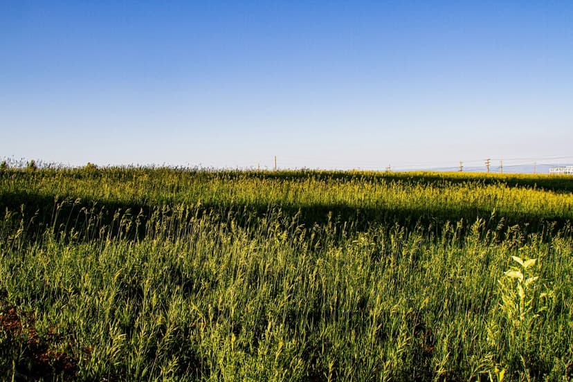 Youngs Creek Ranchette