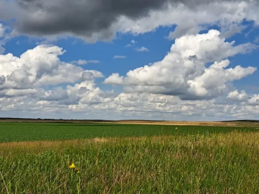 472.54 Acres +/-  Land for Sale