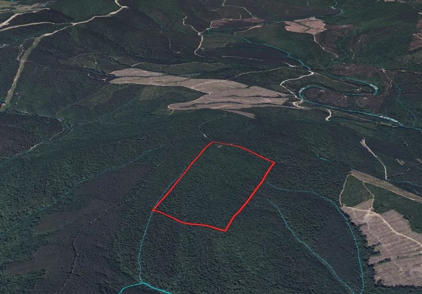 80 Acres with 3 Cabins in Pushmataha County, OK