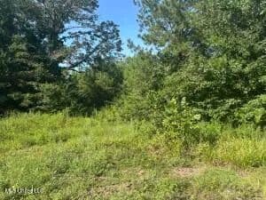 12.95 Acres | Magnolia, MS 